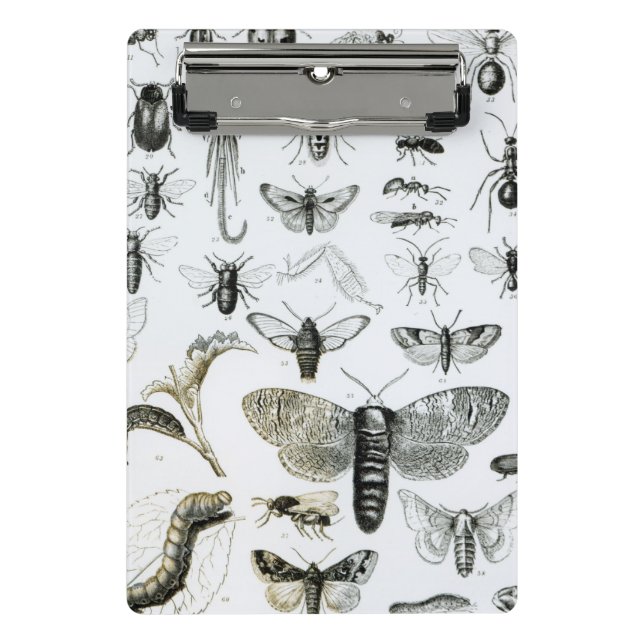 Mini Porte-bloc Entomologie (Devant)