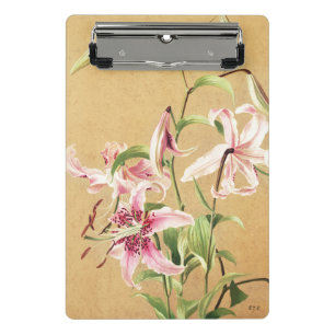 Mini Porte-bloc Fleur Botanique Art Déco Lys Oriental Rose Vintage