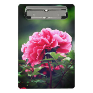 Mini Porte-bloc Fleur de pivoine rose dans le jardin-33333