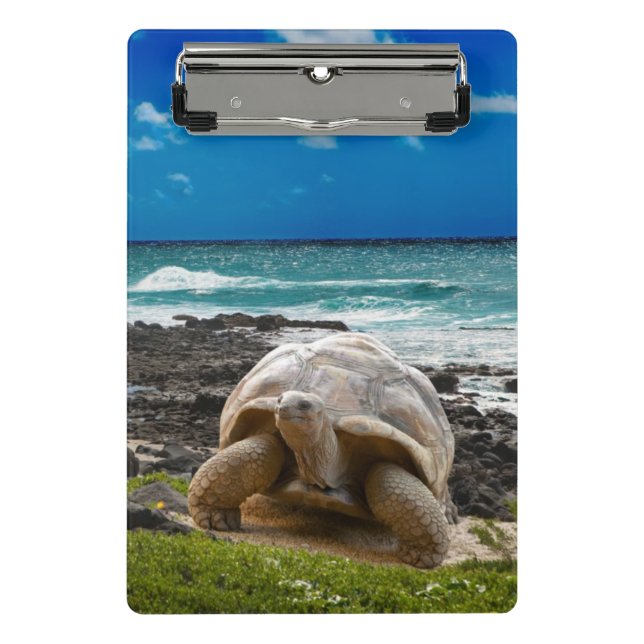 Mini Porte-bloc Grande tortue au bord de mer (Devant)