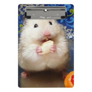Mini Porte-bloc Hamster syrien pelucheux Kokolinka mangeant une