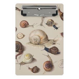 Mini Porte-bloc Illustration scientifique d'escargots de jardin vi