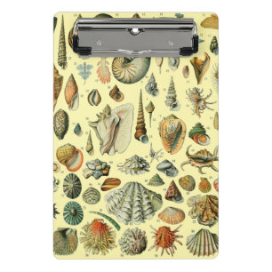 Mini Porte-bloc Impression vintage de coquillages d'Adolphe Millot
