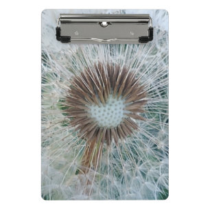 Mini Porte-bloc Joli Dandelion blanc