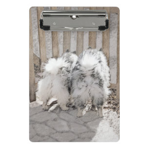 Mini Porte-bloc Keeshonds at the Gate Painting - Original Dog Art
