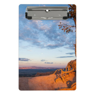 Mini Porte-bloc L'arbre s'accroche au rebord, parc national de