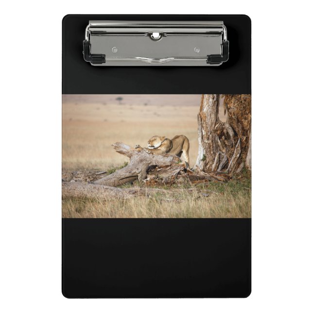 Mini Porte-bloc Lioness stretching (Devant)
