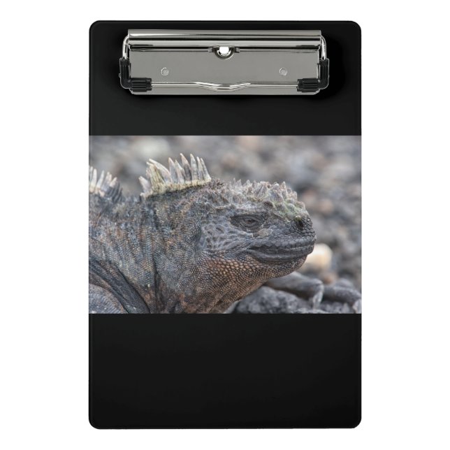 Mini Porte-bloc Marine Iguana (Devant)