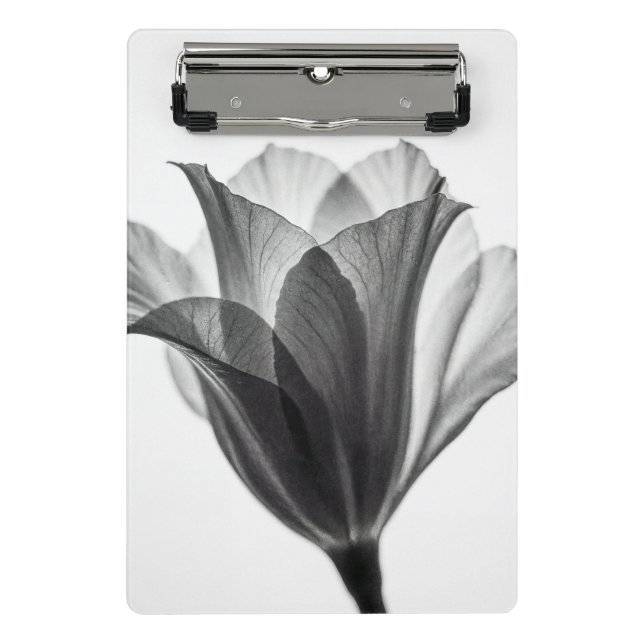 Mini Porte-bloc Monochrome botanical fine art photograph (Devant)
