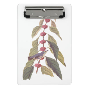 Mini Porte-bloc Oiseau Vintage de Paruline verte bleue d'Audubon