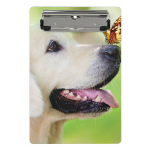 Mini Porte-bloc Oreiller À Lancer Du Labrador Et Du Papillon
