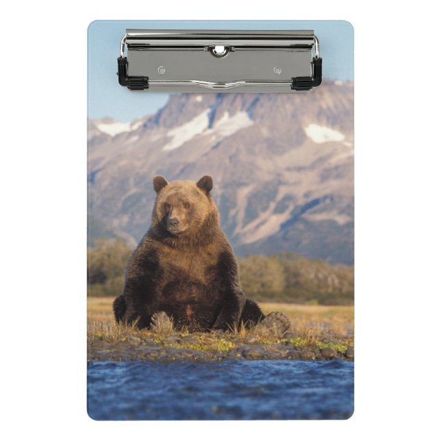 Mini Porte-bloc ours brun, Ursus arctos, grizzly, Ursus (Devant)