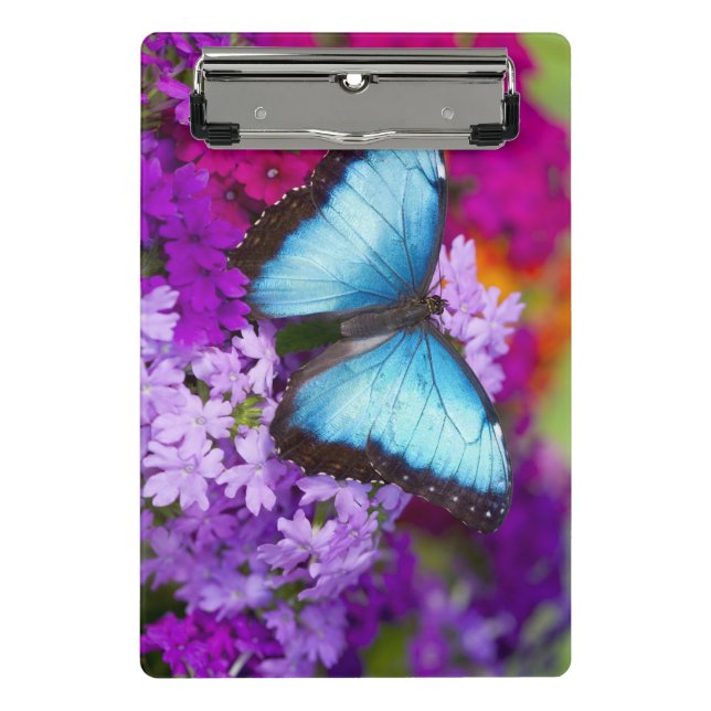 Mini Porte-bloc Papillon tropical de Sammamish Washington (Devant)