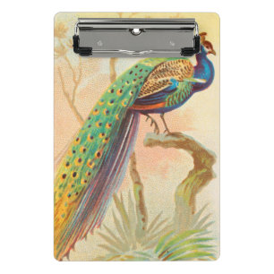 Mini Porte-bloc Peacock vintage sur une branche