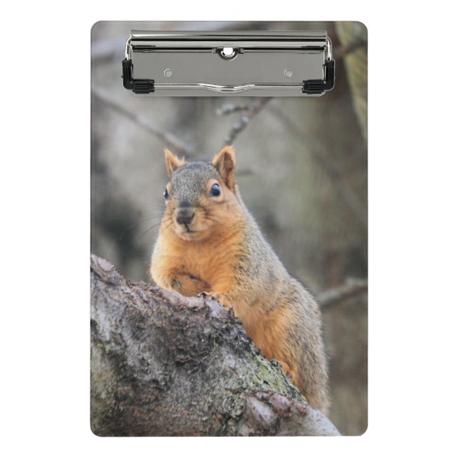 Mini Porte-bloc Pénal (Devant)