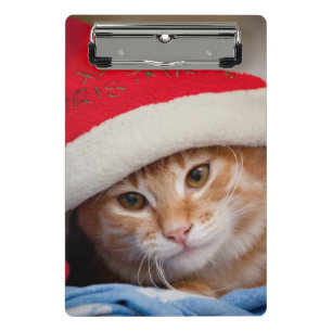 Mini Porte-bloc Petit chaton dans le casquette rouge de Noël