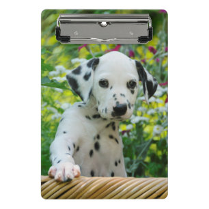 Mini Porte-bloc Photo dalmatienne mignonne d'animal familier de