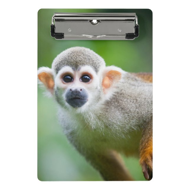 Mini Porte-bloc Plan rapproché d'un singe-écureuil commun (Devant)