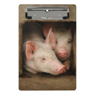 Mini Porte-bloc Porcelets curieux