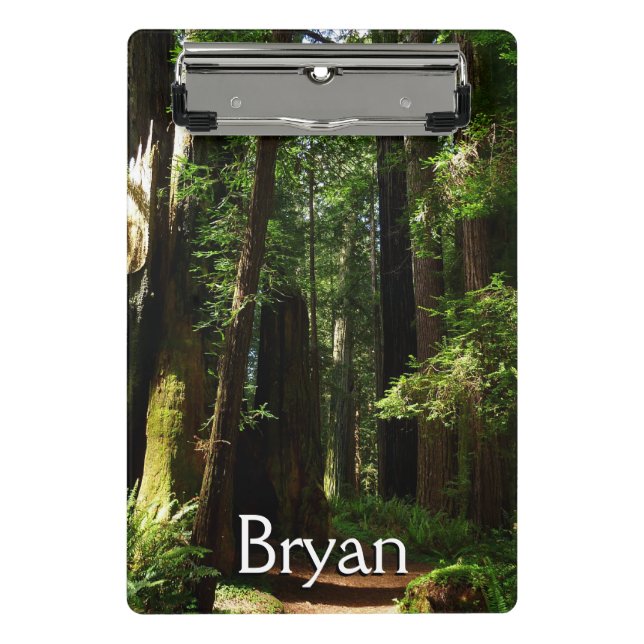 Mini Porte-bloc Redwoods and Ferns at Redwood National Park (Devant)