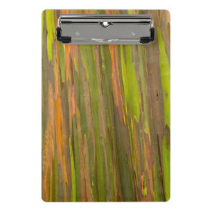 Mini Porte-bloc Résumé de l'écorce d'eucalyptus