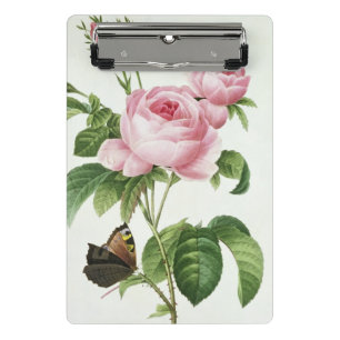 Mini Porte-bloc Rosa Centifolia