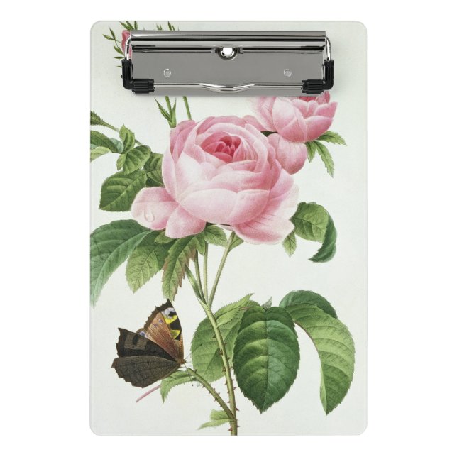 Mini Porte-bloc Rosa Centifolia (Devant)