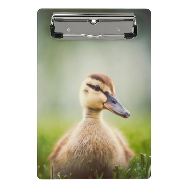 Mini Porte-bloc Se pencher de Mallard de bébé (Devant)