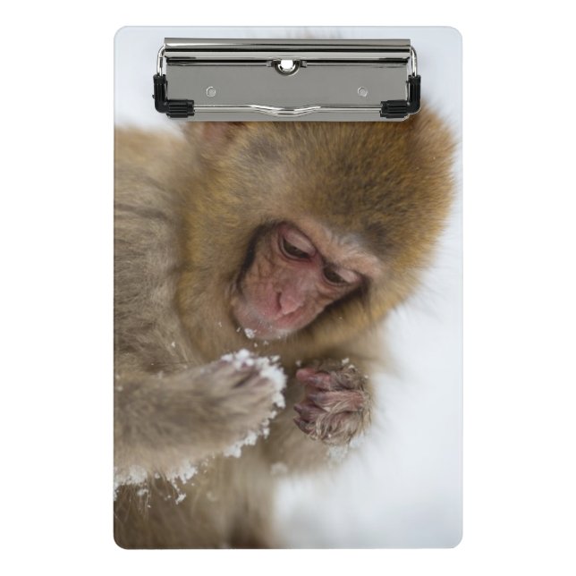 Mini Porte-bloc Singe japonais de neige du Macaque | de bébé (Devant)