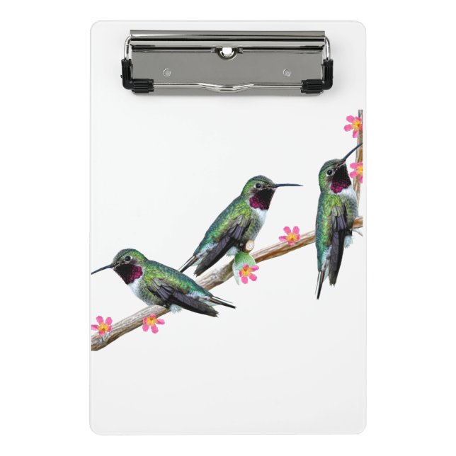Mini Porte-bloc Trois colibris perchés sur une branche Floss Silt (Devant)