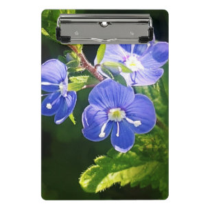 Mini Porte-bloc Trois fleurs bleues