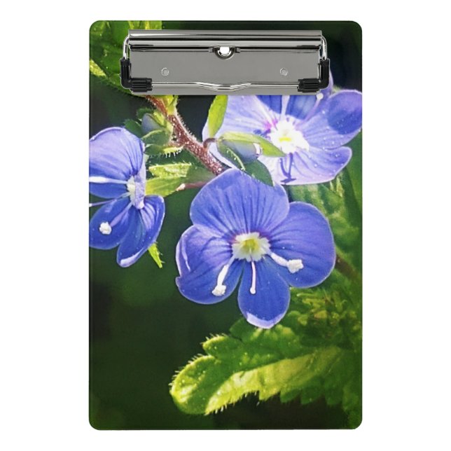 Mini Porte-bloc Trois fleurs bleues (Devant)