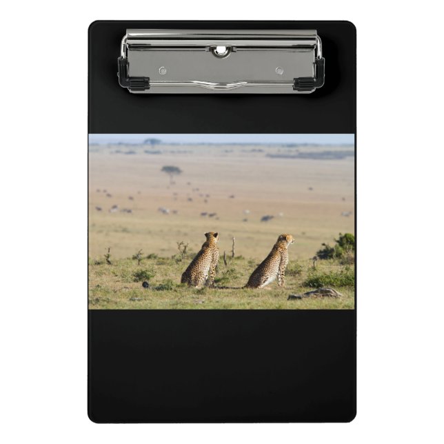 Mini Porte-bloc Two cheetahs on the look out (Devant)