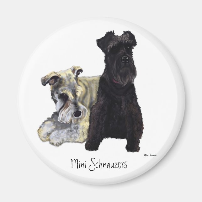 Mini Schnauzers - Magnet (Devant)
