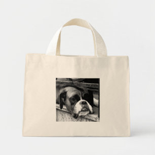 Mini Tote Bag Chien de boîte sur le rebord de fenêtre tcnm