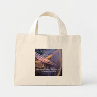 Mini Tote Bag Épervier à nez long