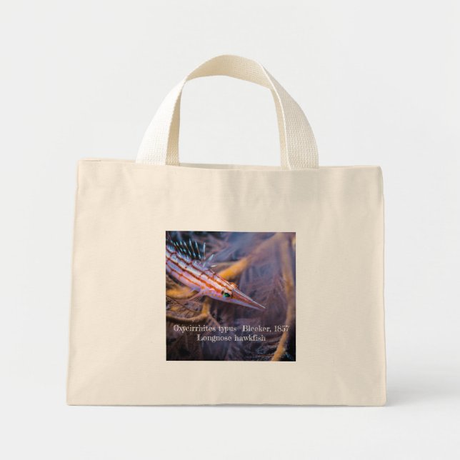 Mini Tote Bag Épervier à nez long (Devant)