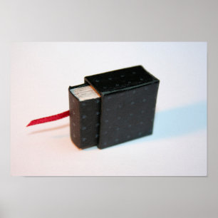 Miniature Artis's Book avec sa boîte Poster