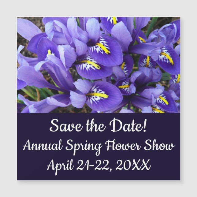 Miniature Bleu Irises Printemps Floral (Devant)