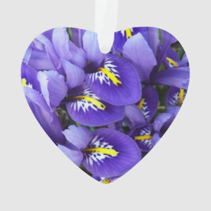 Miniature Bleu Irises Printemps Floral