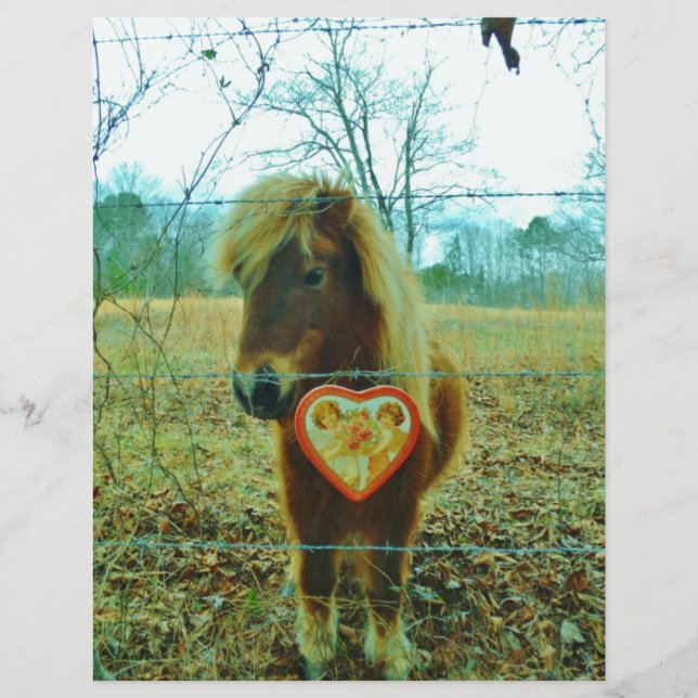 Miniature cheval Brown Valentine Heart (Devant)