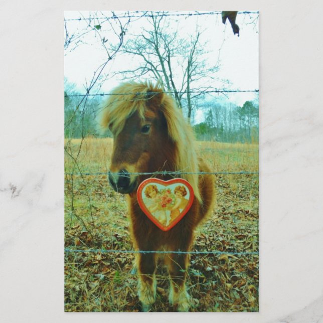 Miniature cheval Brown Valentine Heart (Devant)