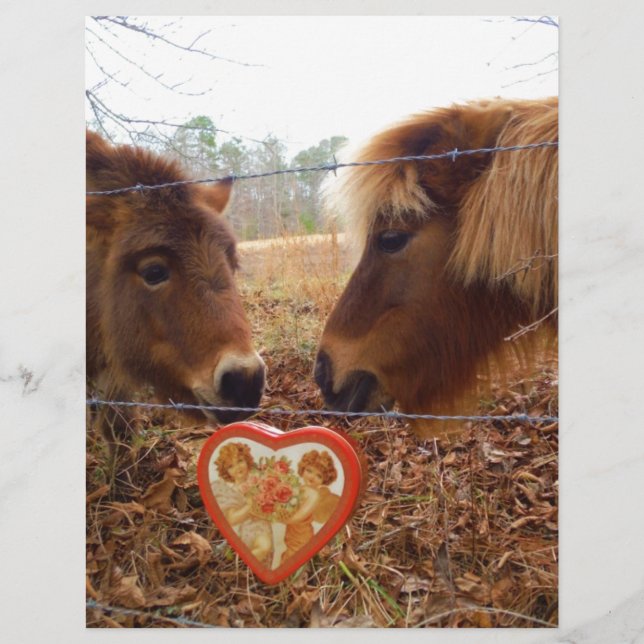 Miniature Donkey & Horse Valentine Heart (Devant)