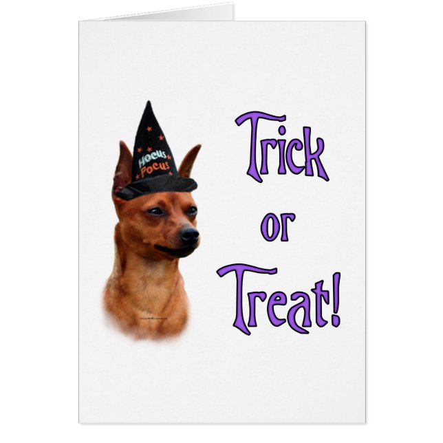 Miniature Pinscher Trick (Devant)