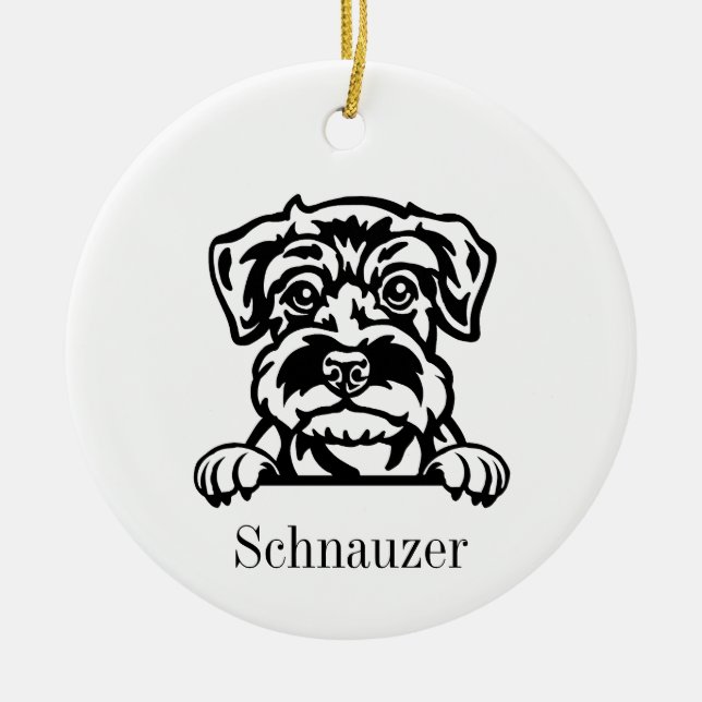 Miniature Schnauzer chien ornement (Devant)