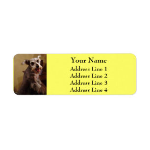 Miniature Schnauzer Yellow Return Étiquettes d'adr