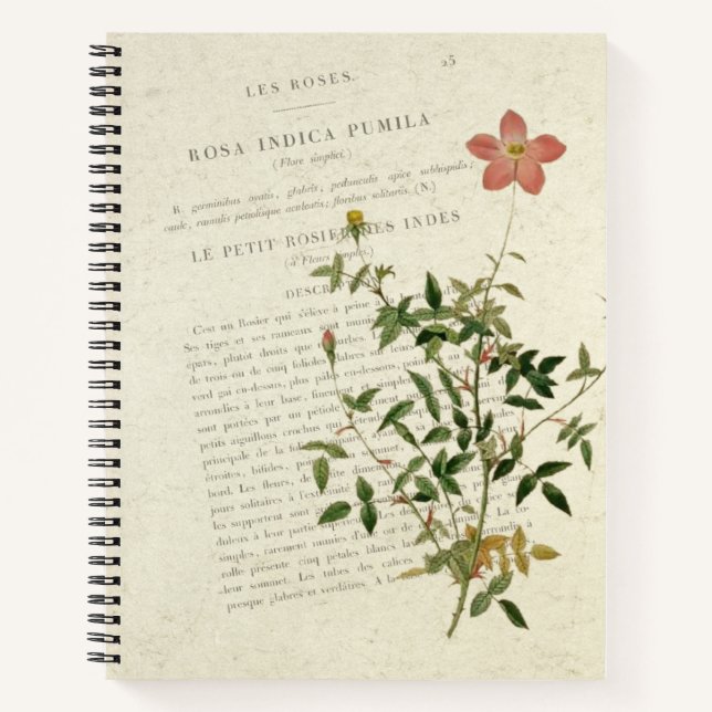 Miniatures Exquises : Carnet Rosa indica pumila (Devant)