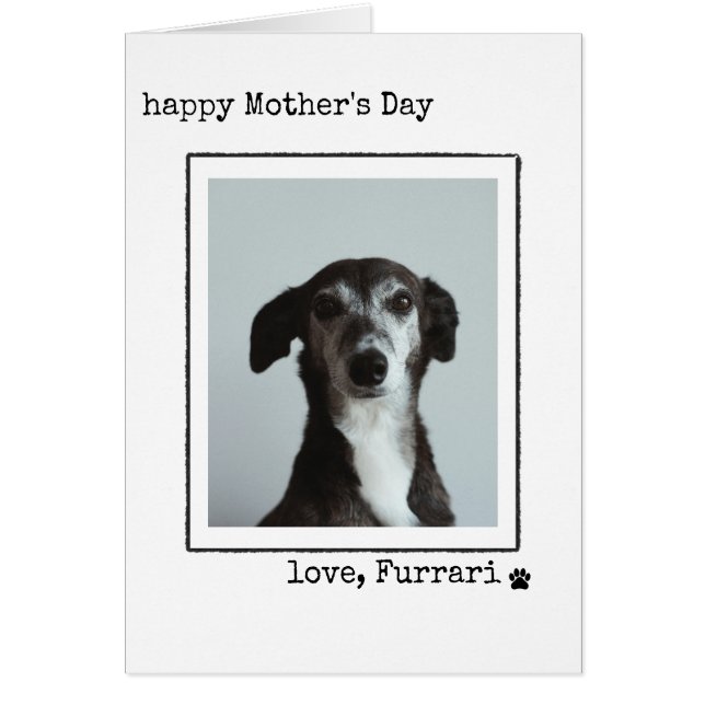Minimalist Mother's Day Photo Card From the Dog  (Devant)