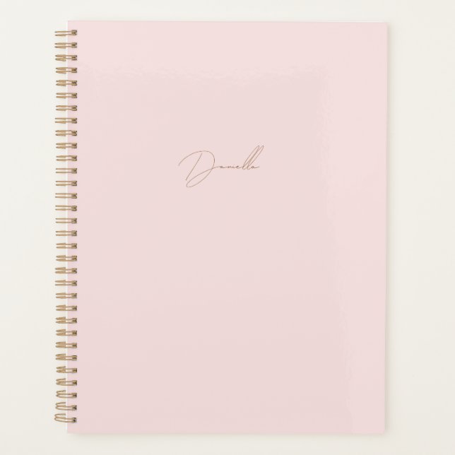 Minimaliste moderne rose pâle | Nom du script Gold (Devant)