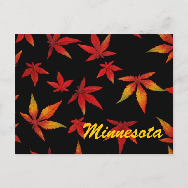 Minnesota Feuilles Automne Carte Postale (Devant)
